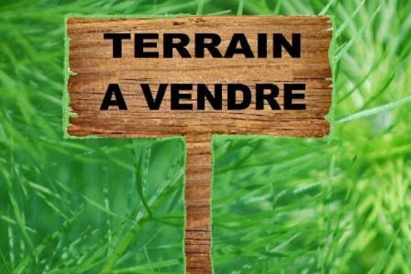 Vente Terrain Mostaganem&nbsp;