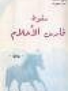 سقوط فارس الأحلام