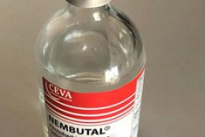potassium cyanide,nembutal, pentobarbital(pills and powder, liquid )for sale
