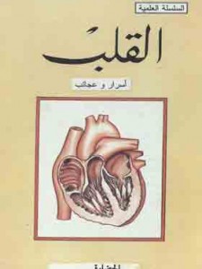 القلب