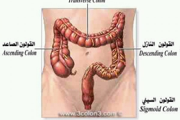 علاج القلون العصبي 